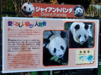 上野動物園1486.jpg