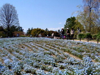 昭和記念公園0070.jpg