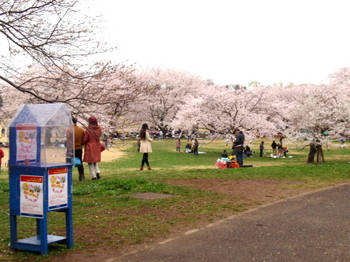 昭和記念公園1279.jpg