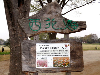 昭和記念公園1353.jpg